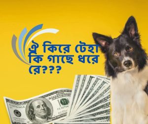 শুধু ফেসবুকে অ্যাড দিলেই সেলস আসবে — এই ধারণা নগদে ভুলে যান।